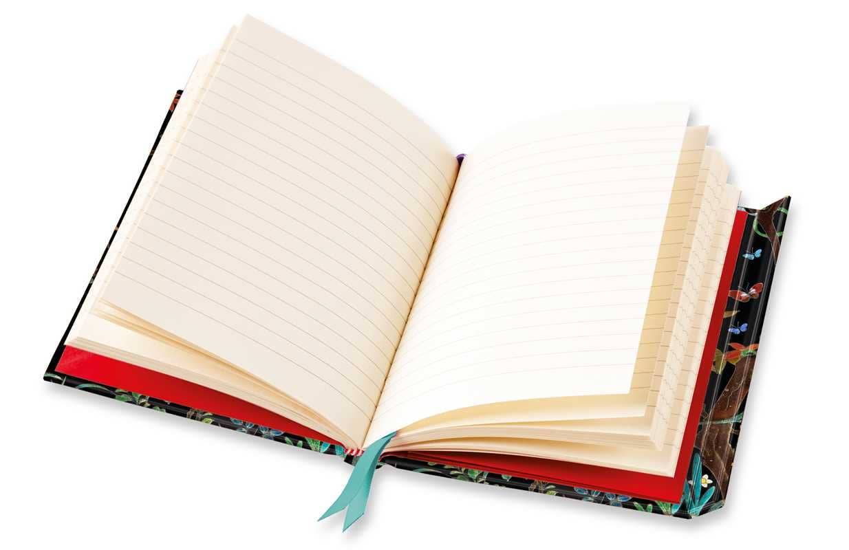 Ashmolean Museum: Cloisonné Casket with Flowers and Butterflies (Foiled Journal)