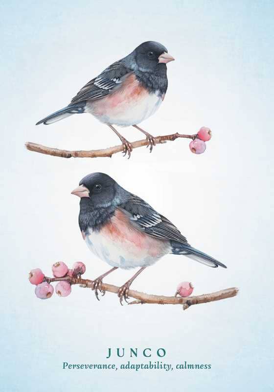 Spiritual Meaning of Birds Oracle Deck by Arin Murphy-Hiscock